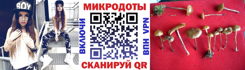 Псилоцибиновые грибы мухоморы  что такое   Сарапул 