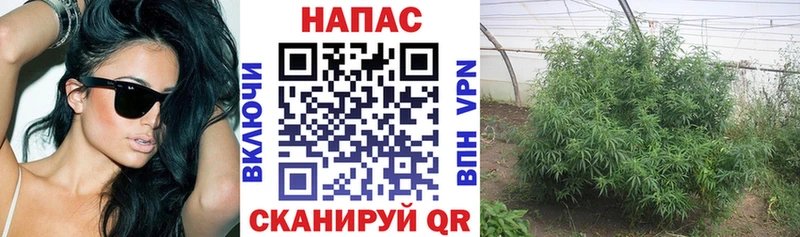 нарко площадка как зайти  Сарапул  Канабис AK-47 